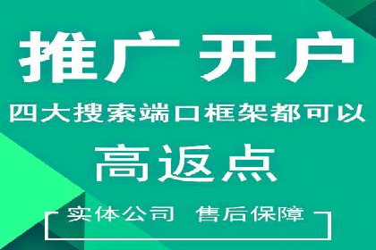 案例展示：SEM账户托管服务成果